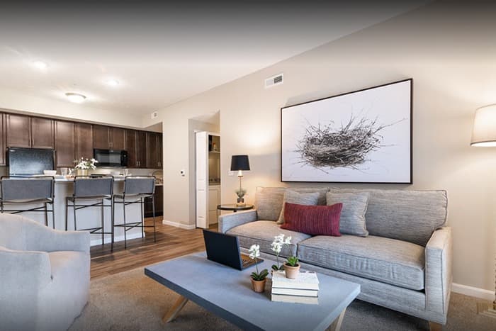 Modern apartment living room with gray sofa, open kitchen, and stylish decor at Ardent apartments in Central Ohio.
