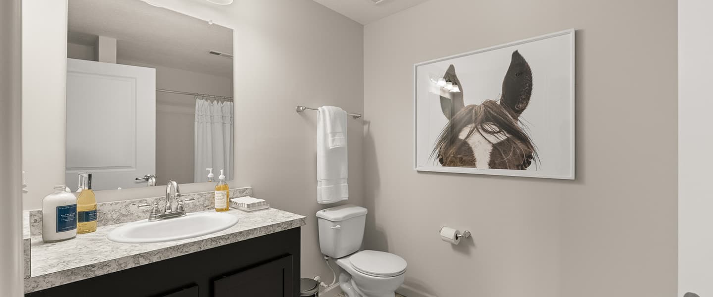 Vanity, toilet and artwork hanging from the wall in a Powell Ohio apartment