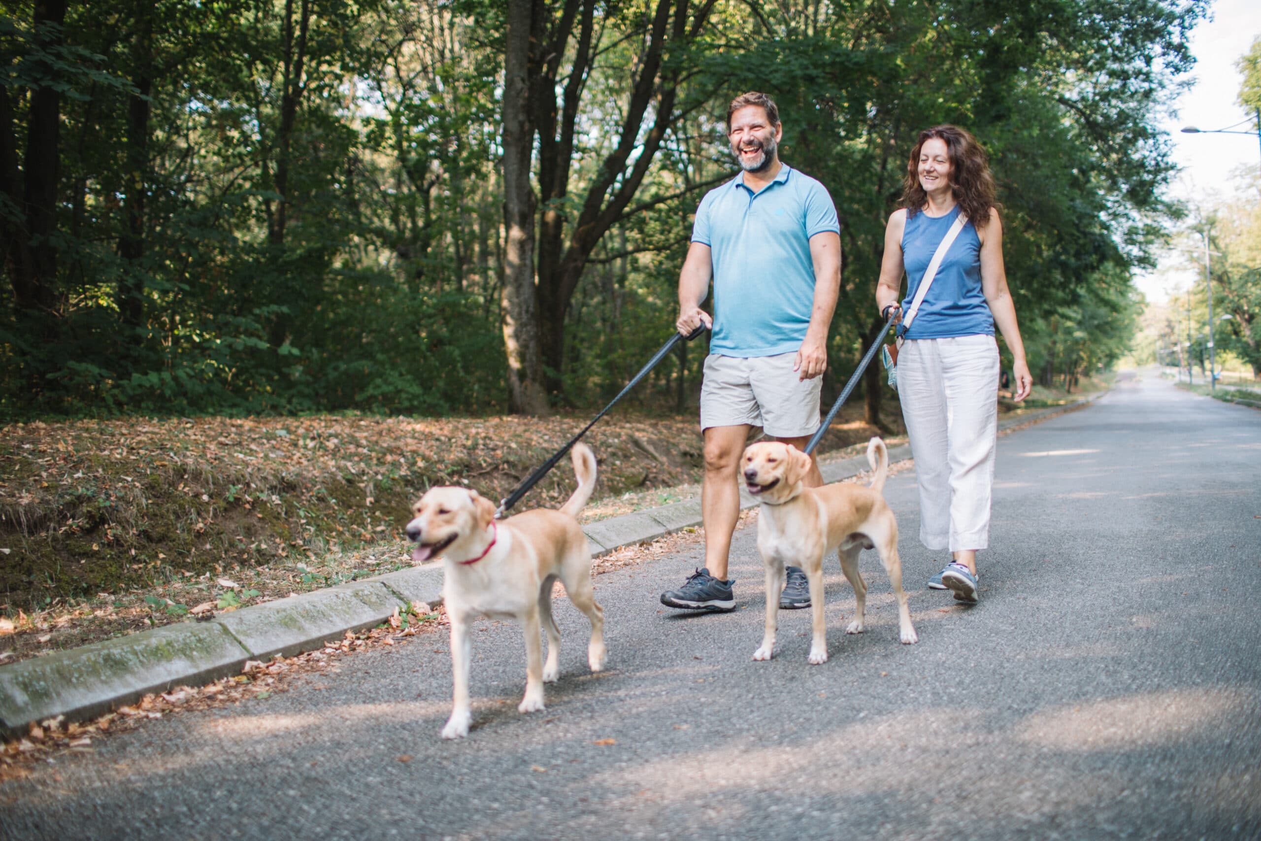 couple-walking-dogs