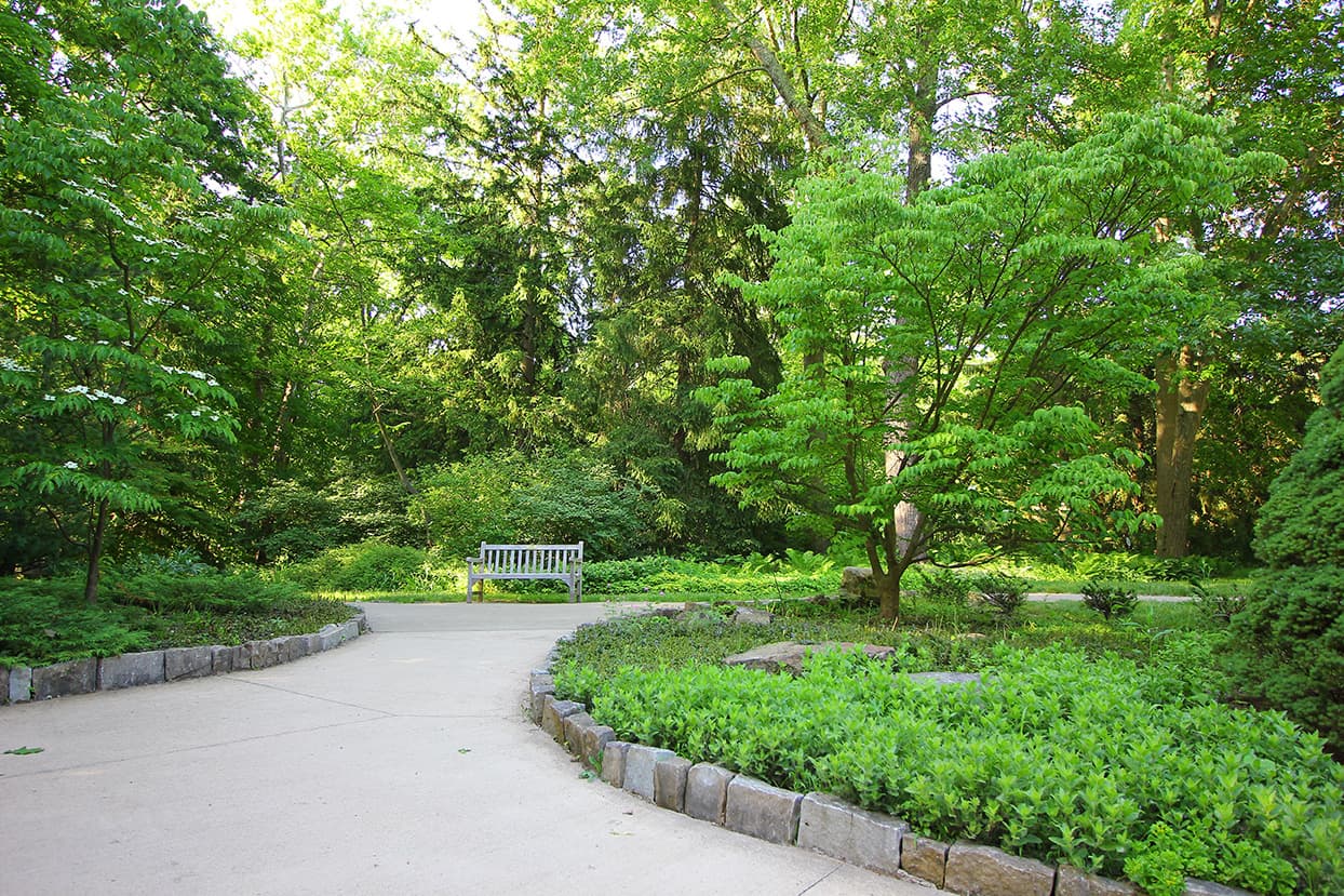 A park bench with walking paths and trees.