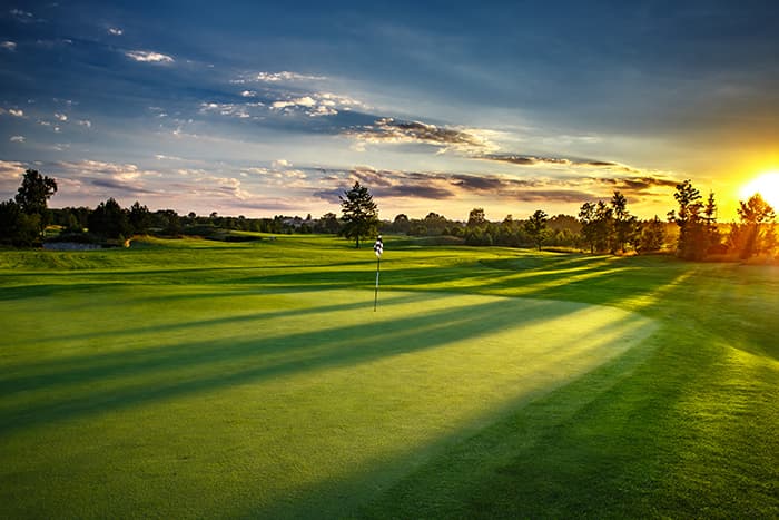 An open field in the summer with a sun setting, casting shadows from trees.