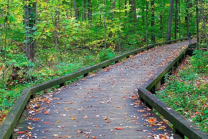 Walking path in a park.