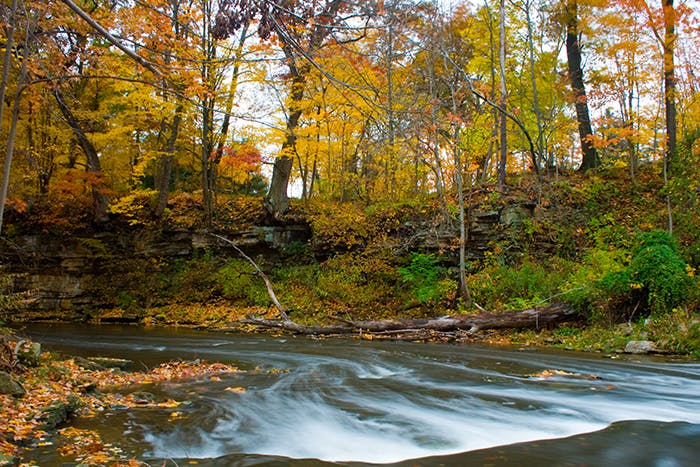 Flowing river in the woods during Autumn